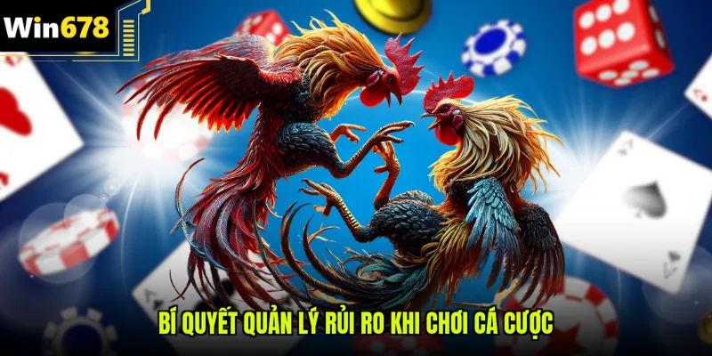 Bí quyết quản lý rủi ro khi chơi cá cược