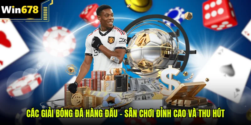 Các giải bóng đá hàng đầu