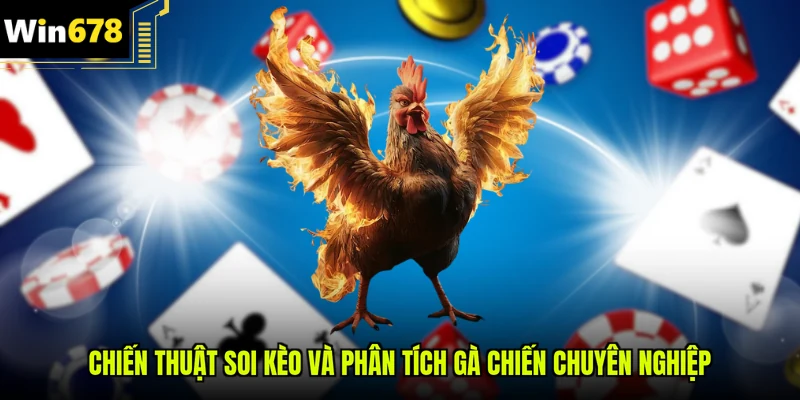 Chiến thuật soi kèo và phân tích gà chiến chuyên nghiệp