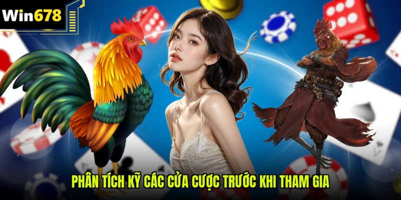 Phân tích kỹ các cửa cược trước khi tham gia