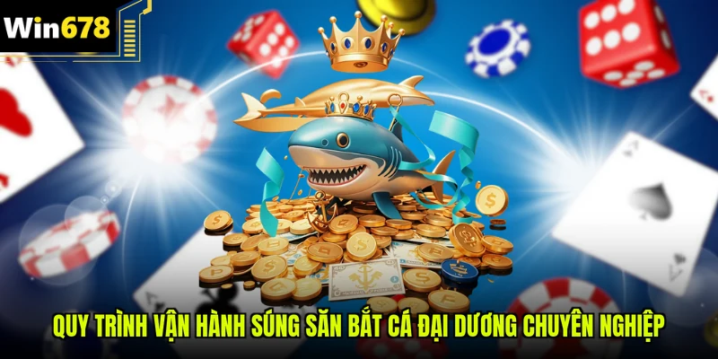 Quy trình vận hành súng săn bắt cá đại dương chuyên nghiệp