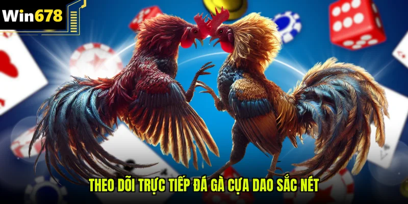 Theo dõi trực tiếp đá gà cựa dao sắc nét 